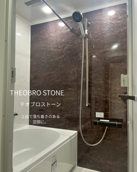 テオブロストーンのアクセントパネルを使用した浴室