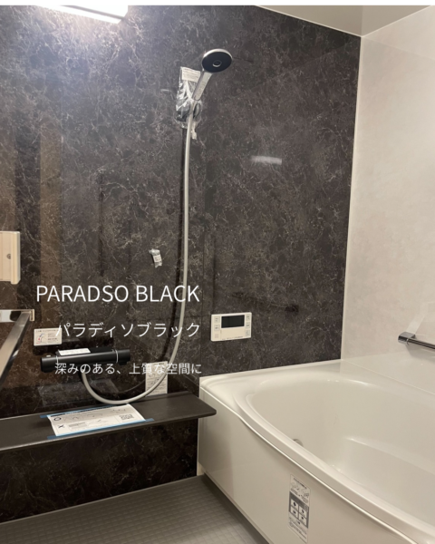 パラディソブラックのアクセントパネルを使用した浴室