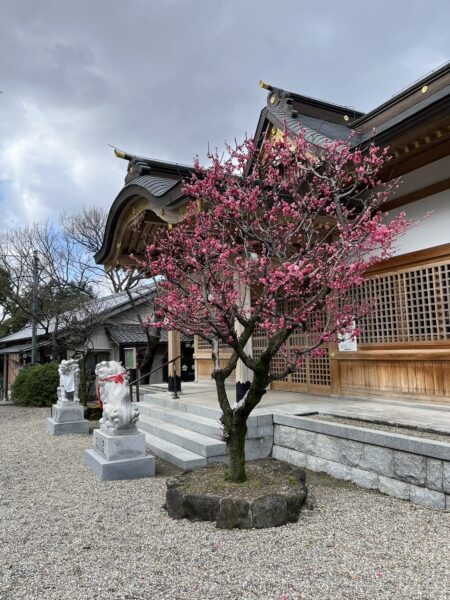 四条畷市国中神社朔日参り